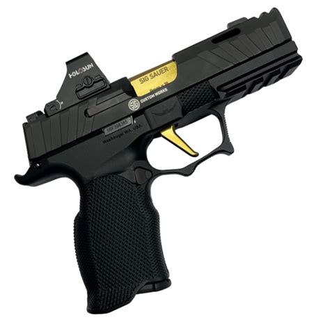 No need to spend on the whole gun from SIG. . Sig p365xl spectre comp accessories